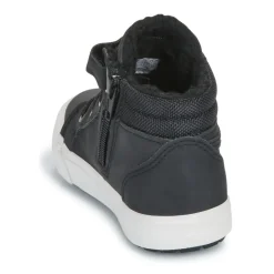 Kangaroos - Kavu III