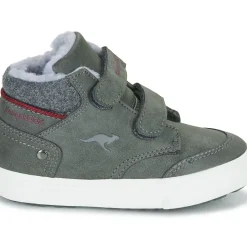 Kangaroos - KAVU PRIMO