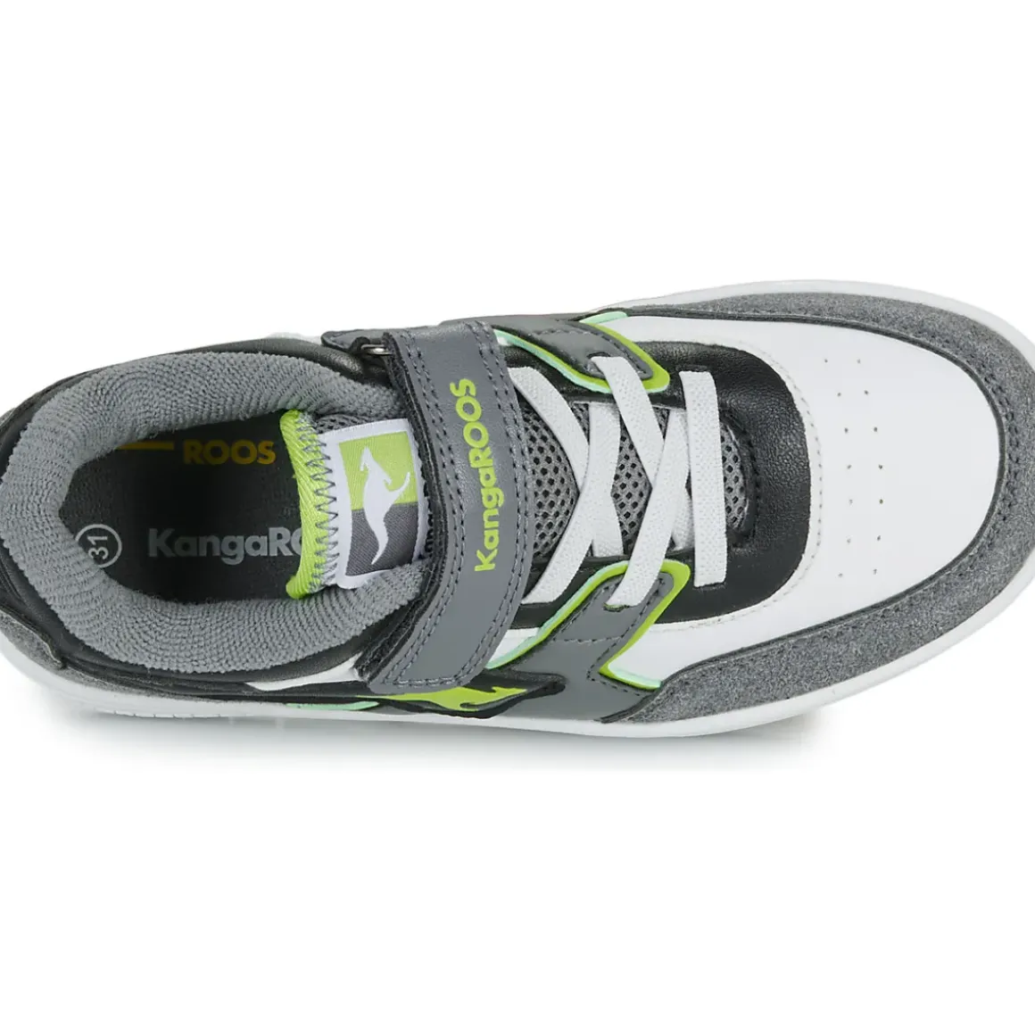 Kangaroos - K-CP Bounder EV