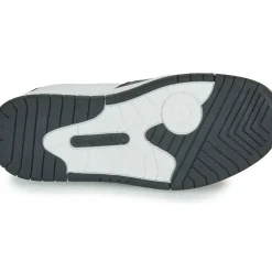 Kangaroos - K-CP Fair EV
