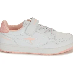 Kangaroos - K-CP Fresh EV