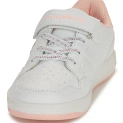 Kangaroos - K-CP Fresh EV