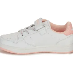 Kangaroos - K-CP Fresh EV
