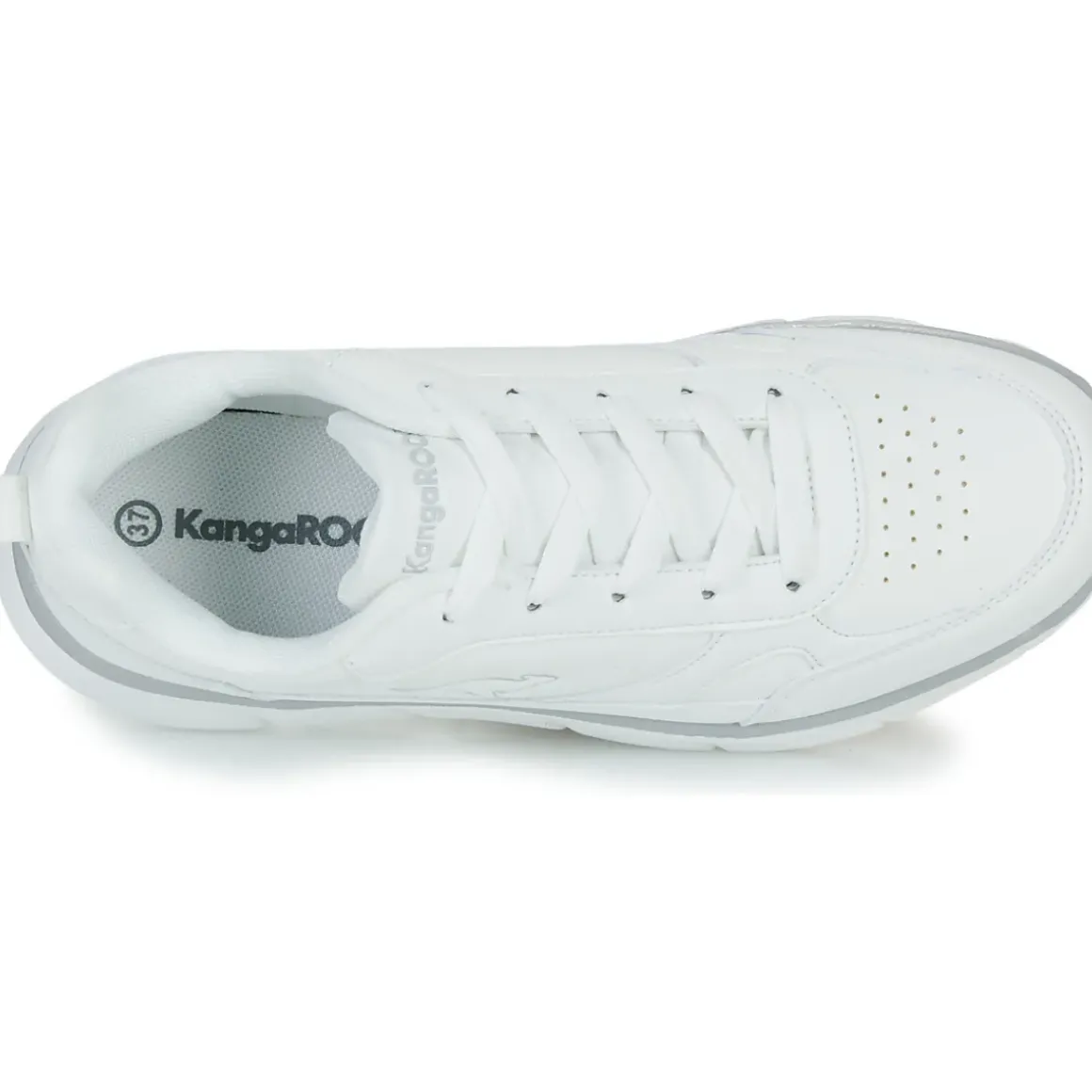 Kangaroos - K-CR Adina