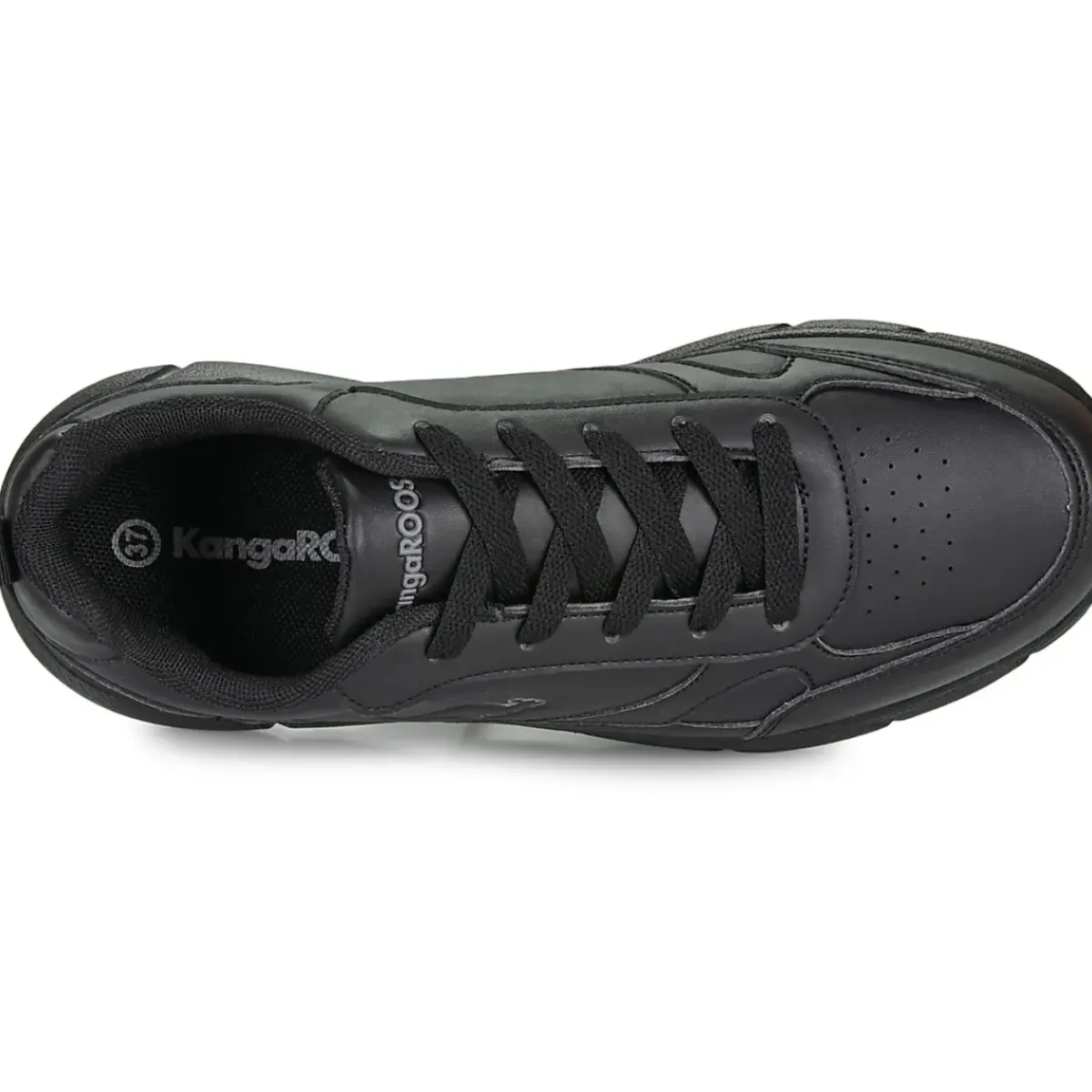 Kangaroos - K-CR Adina