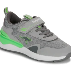 Kangaroos - KD-Gym EV