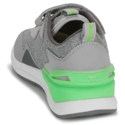 Kangaroos - KD-Gym EV