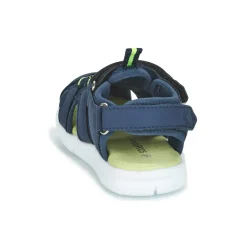 Kangaroos - K-MINI