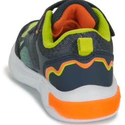 Kangaroos - K-SLB Lighto EV