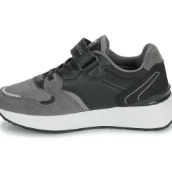 Kangaroos - K-Sneak Base EV