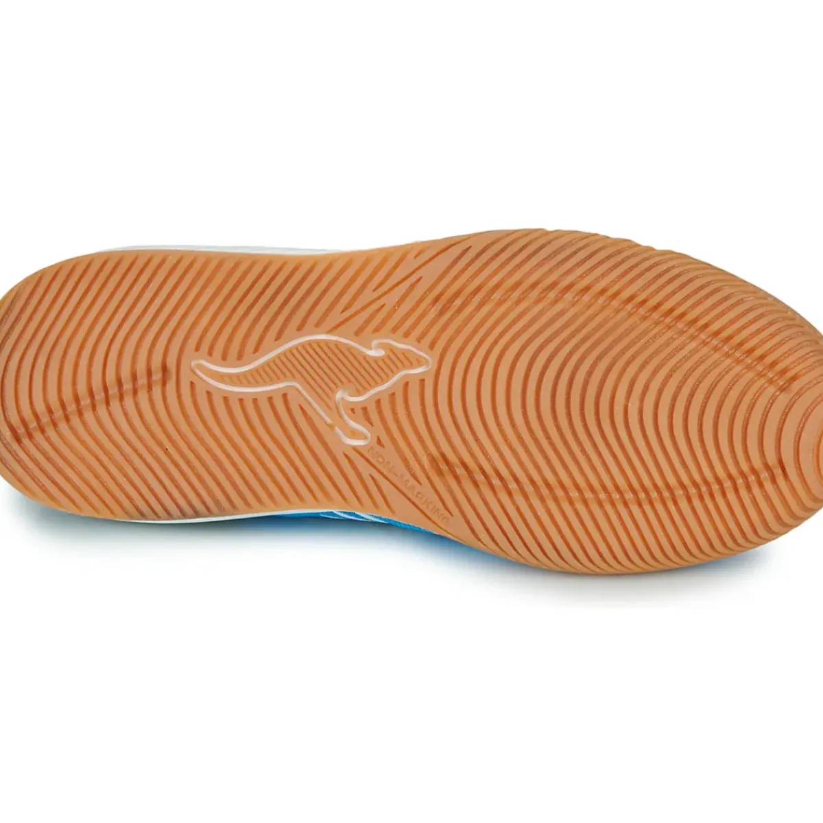 Kangaroos - K5-Super Court EV