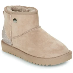 Kangaroos - K-UW Broome