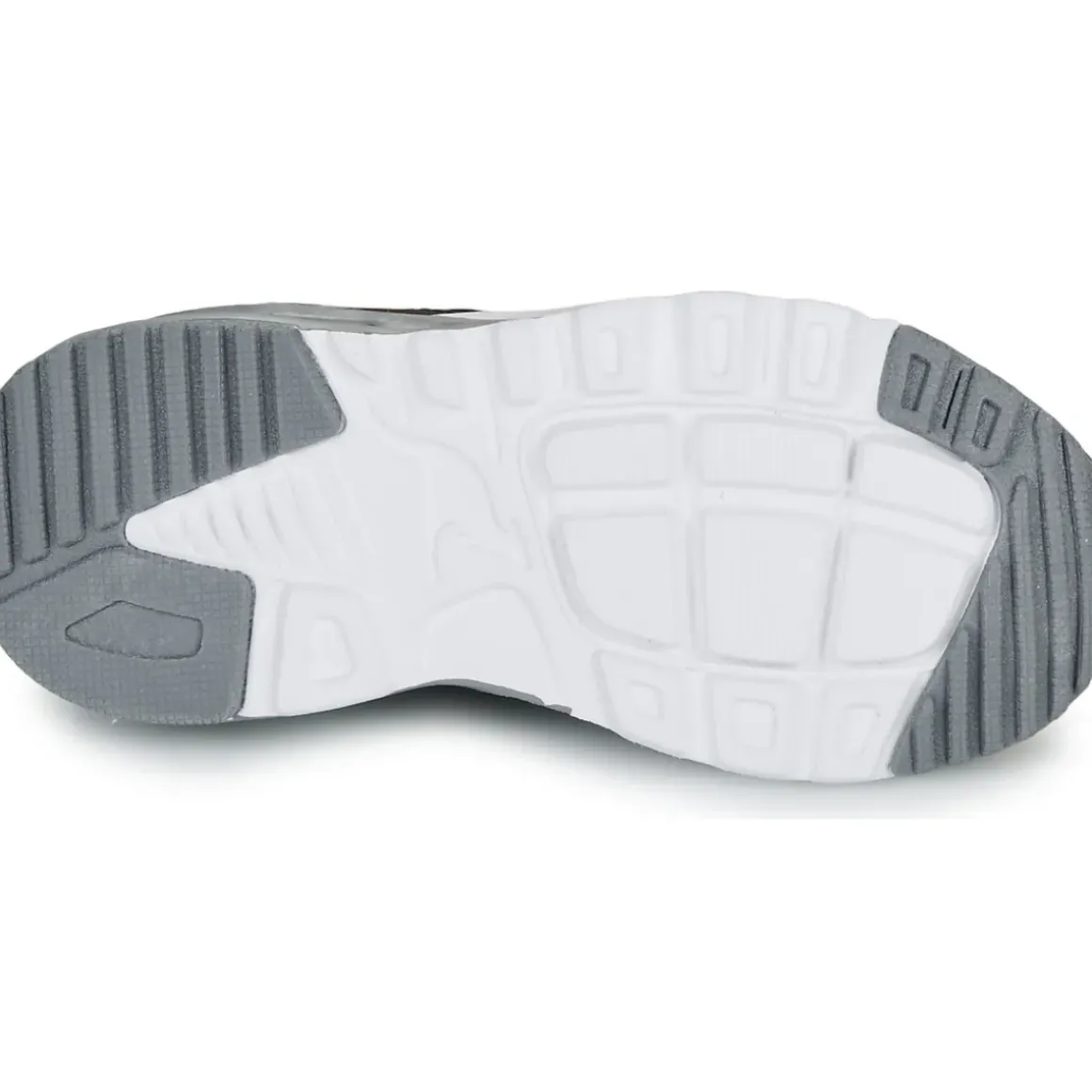 Kangaroos - KX-Arg EV