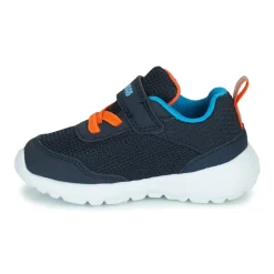 Kangaroos - KY-LILO EV