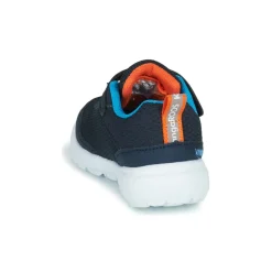 Kangaroos - KY-LILO EV
