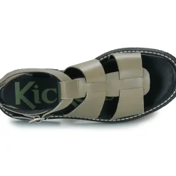 Kickers - KICK LILA