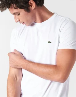 Lacoste - TH6709