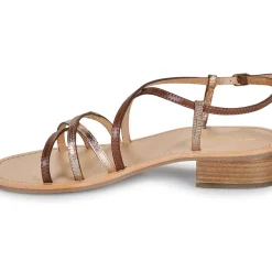 Les Tropéziennes par M Belarbi - HARRYNA
