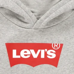 Levi's - BATWING SCREENPRINT HOODIE