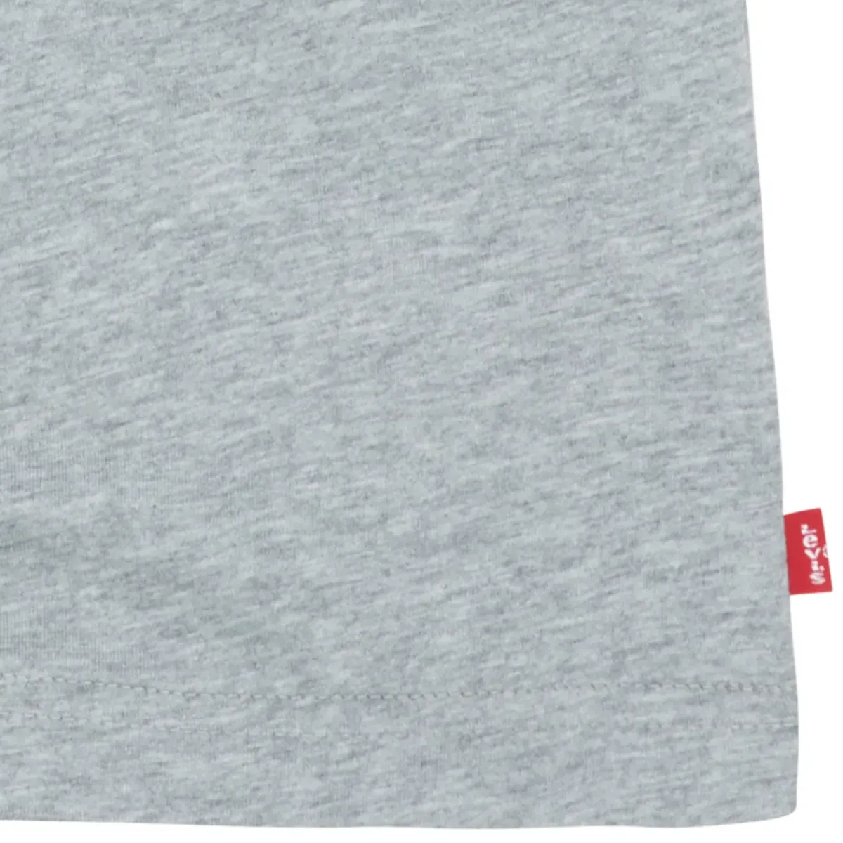 Levi's - BATWING TEE LS