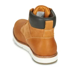 Levi's - JAX PLUS