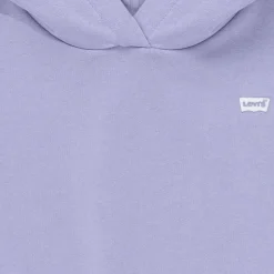 Levi's - LVG-BATWING CHEST HIT HOODIE