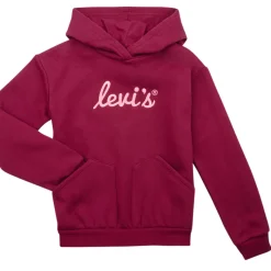 Levi's - LVG POSTER LOGO HOODIE