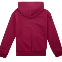 Levi's - LVG POSTER LOGO HOODIE