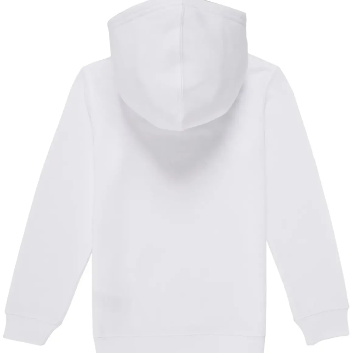 Levi's - PALM BATWING FILL HOODIE