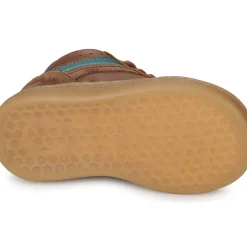 Little Mary - ANDREA