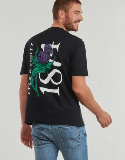 Lyle & Scott - TS2105V