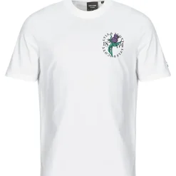 Lyle & Scott - TS2105V