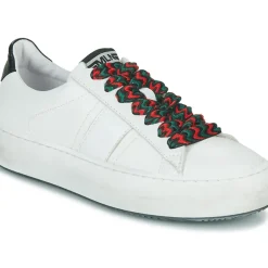 Meline - LI193