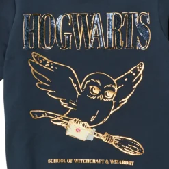 Name it - NKFHARRYPOTTER AXINE SWEAT