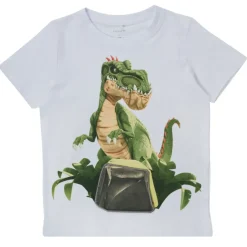 Name it - NMMGIGANTOSAURUS
