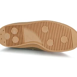 Novesta - STAR MASTER 42 MLTR