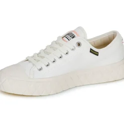 Palladium - PALLA ACE CVS