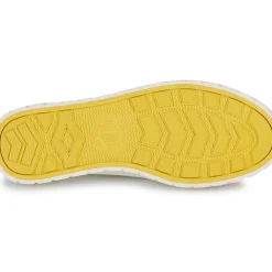 Palladium - PALLA ACE CVS