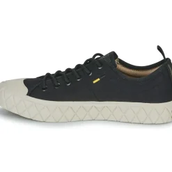 Palladium - PALLA ACE LO SUPPLY