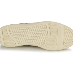 Palladium - PALLACUP FLAME LTH