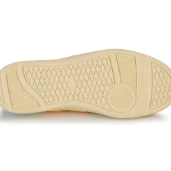 Palladium - PALLACUP FLAME LTH