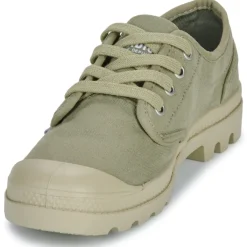 Palladium - PAMPA OX