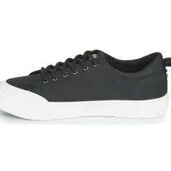Palladium - STUDIO 02