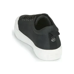 Palladium - STUDIO 02