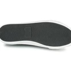 Palladium - STUDIO 02