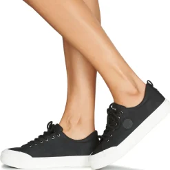 Palladium - STUDIO 02