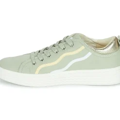 Palladium - TEMPO 02 CVS~VERVEINE~M
