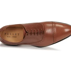 Pellet - ALEX