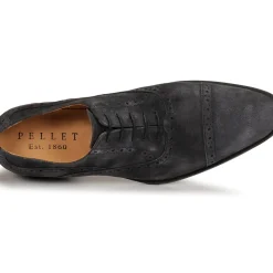 Pellet - ALEX