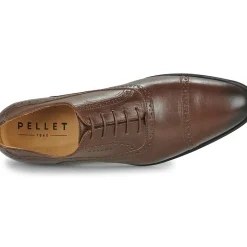 Pellet - ALEX